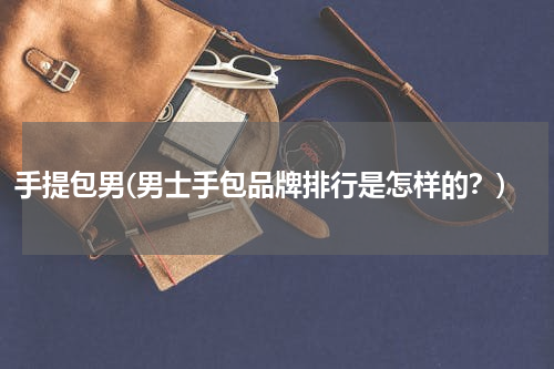 手提包男(男士手包品牌排行是怎样的？)