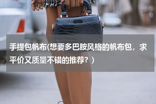 手提包帆布(想要多巴胺风格的帆布包，求平价又质量不错的推荐？)