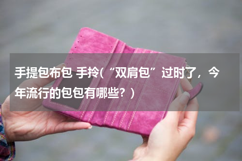 手提包布包 手拎(“双肩包”过时了，今年流行的包包有哪些？)