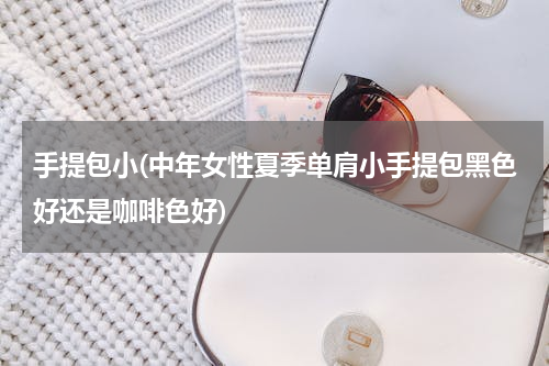 手提包小(中年女性夏季单肩小手提包黑色好还是咖啡色好)