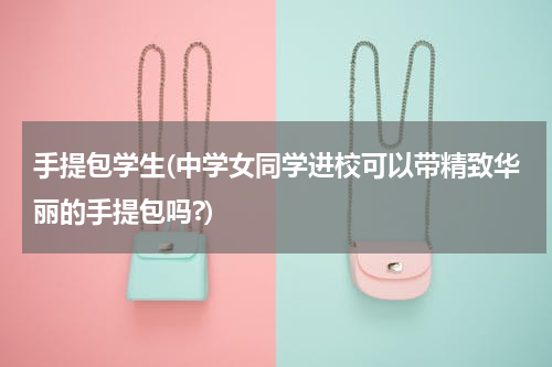 手提包学生(中学女同学进校可以带精致华丽的手提包吗?)