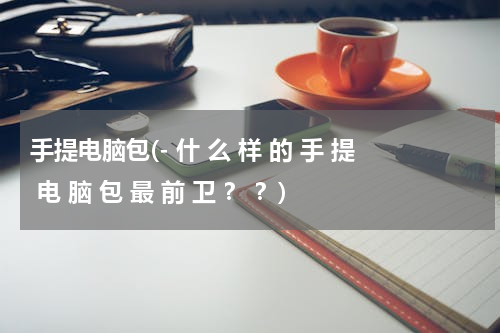 手提电脑包(- 什 么 样 的 手 提 电 脑 包 最 前 卫 ？ ？)