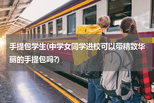 手提包学生(中学女同学进校可以带精致华丽的手提包吗?)