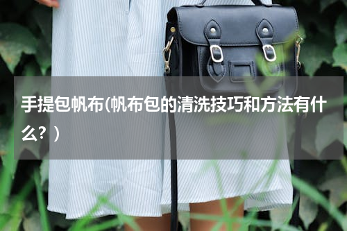 手提包帆布(帆布包的清洗技巧和方法有什么？)