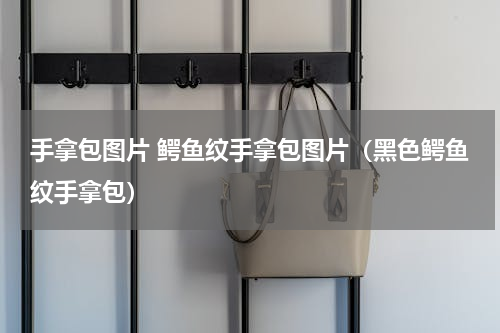 手拿包图片 鳄鱼纹手拿包图片（黑色鳄鱼纹手拿包）