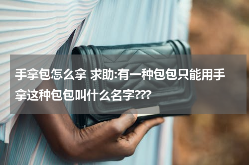 手拿包怎么拿 求助:有一种包包只能用手拿这种包包叫什么名字???