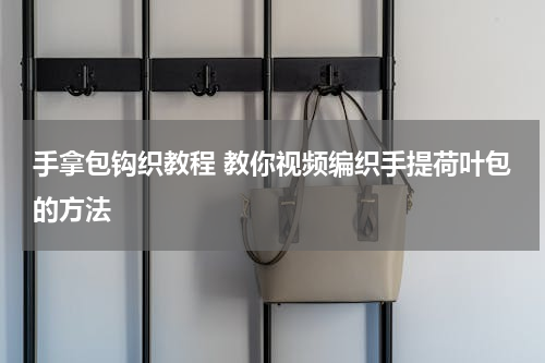 手拿包钩织教程 教你视频编织手提荷叶包的方法