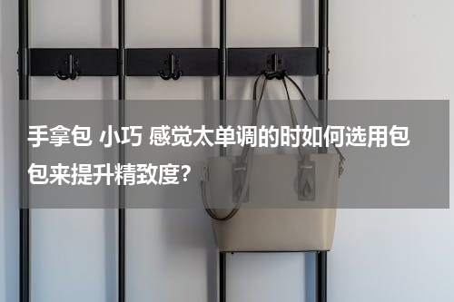 手拿包 小巧 感觉太单调的时如何选用包包来提升精致度？