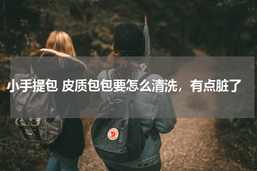 小手提包 皮质包包要怎么清洗，有点脏了