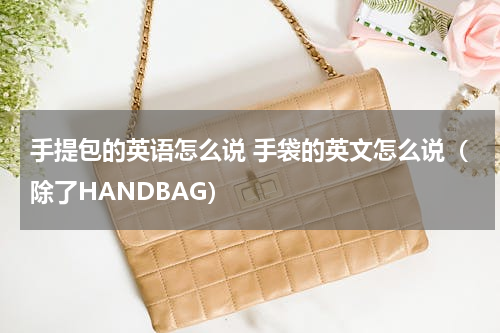 手提包的英语怎么说 手袋的英文怎么说（除了HANDBAG）