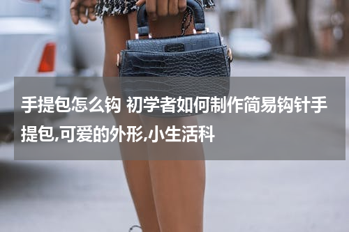 手提包怎么钩 初学者如何制作简易钩针手提包,可爱的外形,小生活科