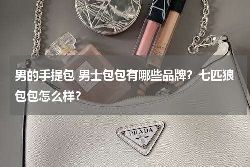男的手提包 男士包包有哪些品牌？七匹狼包包怎么样？