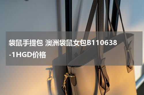袋鼠手提包 澳洲袋鼠女包B110638-1HGD价格