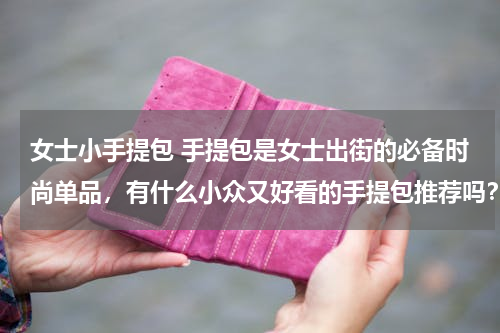 女士小手提包 手提包是女士出街的必备时尚单品，有什么小众又好看的手提包推荐吗？
