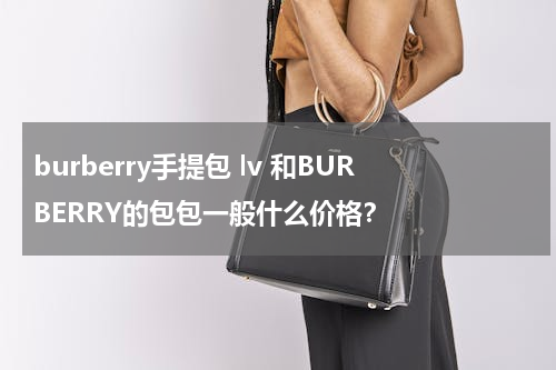 burberry手提包 lv 和BURBERRY的包包一般什么价格？