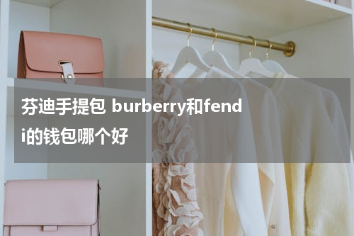 芬迪手提包 burberry和fendi的钱包哪个好