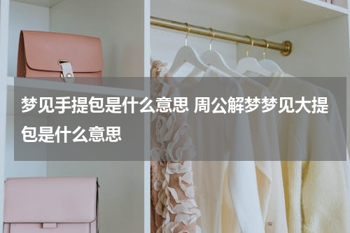 梦见手提包是什么意思 周公解梦梦见大提包是什么意思