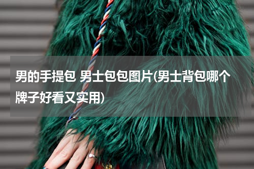 男的手提包 男士包包图片(男士背包哪个牌子好看又实用)
