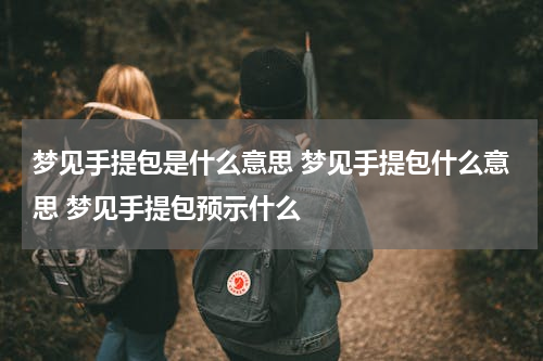 梦见手提包是什么意思 梦见手提包什么意思 梦见手提包预示什么