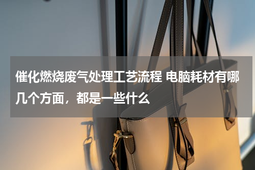 催化燃烧废气处理工艺流程 电脑耗材有哪几个方面，都是一些什么