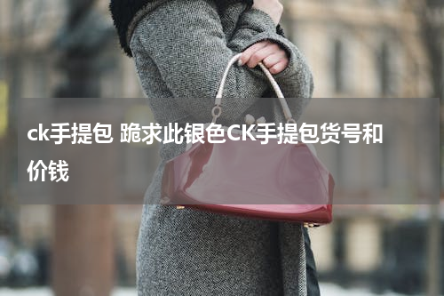 ck手提包 跪求此银色CK手提包货号和价钱