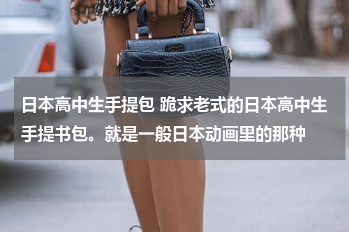 日本高中生手提包 跪求老式的日本高中生手提书包。就是一般日本动画里的那种