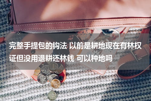完整手提包的钩法 以前是耕地现在有林权证但没用退耕还林钱 可以种地吗