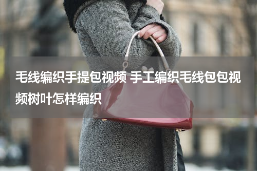 毛线编织手提包视频 手工编织毛线包包视频树叶怎样编织