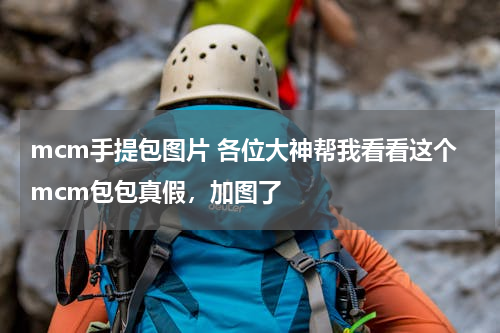 mcm手提包图片 各位大神帮我看看这个mcm包包真假，加图了