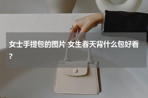 女士手提包的图片 女生春天背什么包好看?
