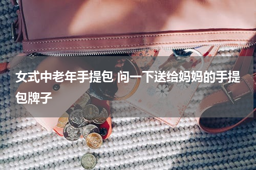 女式中老年手提包 问一下送给妈妈的手提包牌子