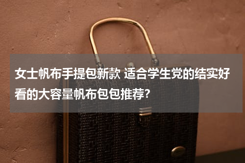 女士帆布手提包新款 适合学生党的结实好看的大容量帆布包包推荐？