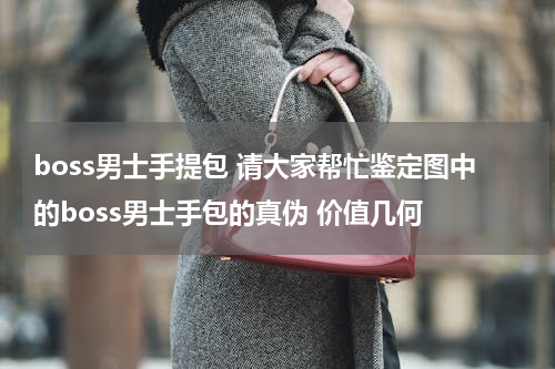 boss男士手提包 请大家帮忙鉴定图中的boss男士手包的真伪 价值几何