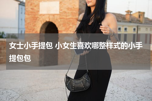 女士小手提包 小女生喜欢哪整样式的小手提包包