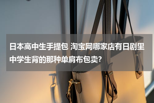 日本高中生手提包 淘宝网哪家店有日剧里中学生背的那种单肩布包卖？