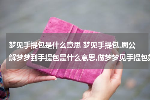 梦见手提包是什么意思 梦见手提包,周公解梦梦到手提包是什么意思,做梦梦见手提包好不好