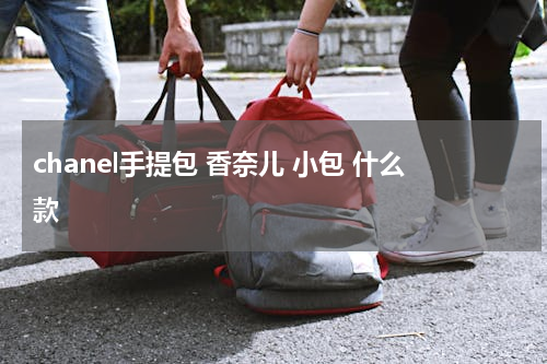 chanel手提包 香奈儿 小包 什么款