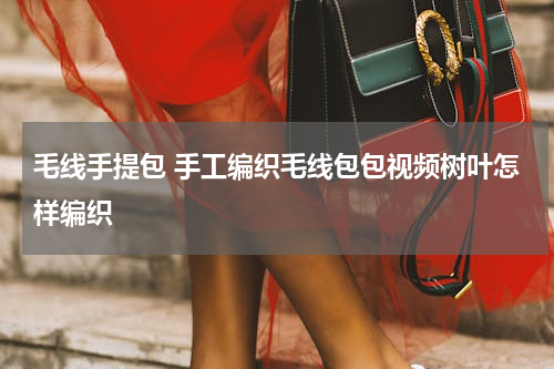 毛线手提包 手工编织毛线包包视频树叶怎样编织