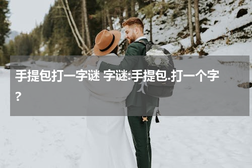 手提包打一字谜 字谜:手提包.打一个字?
