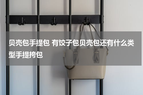 贝壳包手提包 有饺子包贝壳包还有什么类型手提挎包