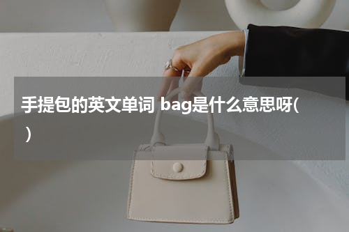 手提包的英文单词 bag是什么意思呀( )