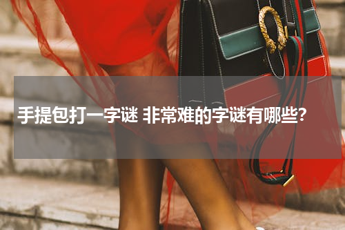 手提包打一字谜 非常难的字谜有哪些？