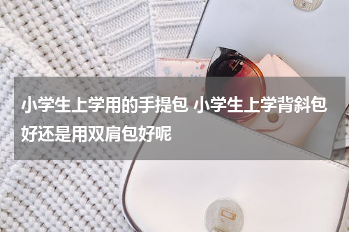 小学生上学用的手提包 小学生上学背斜包好还是用双肩包好呢
