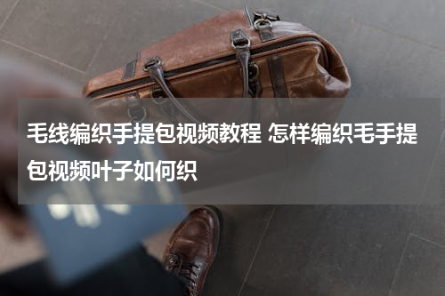 毛线编织手提包视频教程 怎样编织毛手提包视频叶子如何织