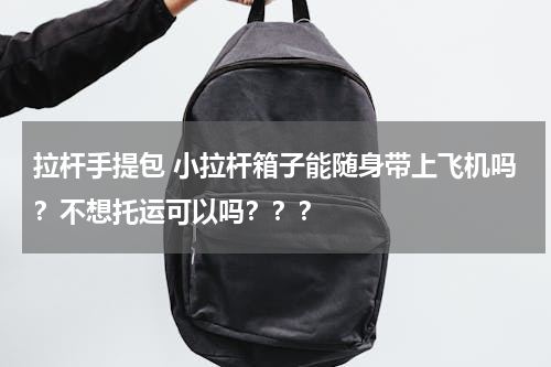 拉杆手提包 小拉杆箱子能随身带上飞机吗？不想托运可以吗？？？