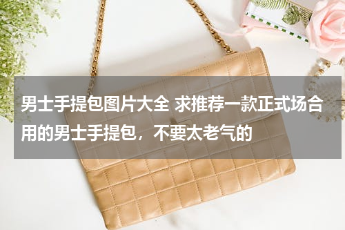 男士手提包图片大全 求推荐一款正式场合用的男士手提包，不要太老气的