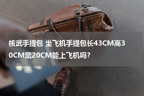 核武手提包 坐飞机手提包长43CM高30CM宽20CM能上飞机吗？