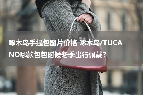 啄木鸟手提包图片价格 啄木鸟/TUCANO哪款包包时候冬季出行佩戴？