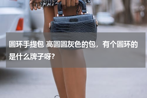 圆环手提包 高圆圆灰色的包，有个圆环的是什么牌子呀？