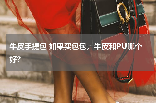 牛皮手提包 如果买包包，牛皮和PU哪个好？